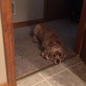 Meet your Posher, Brandon